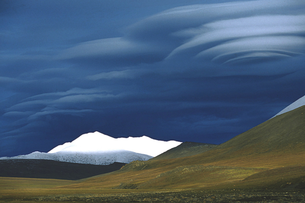 Когда киты уходят 2020