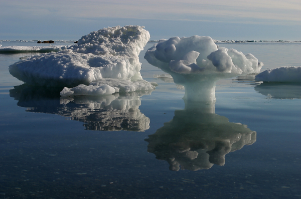 Земли моей начало 2019